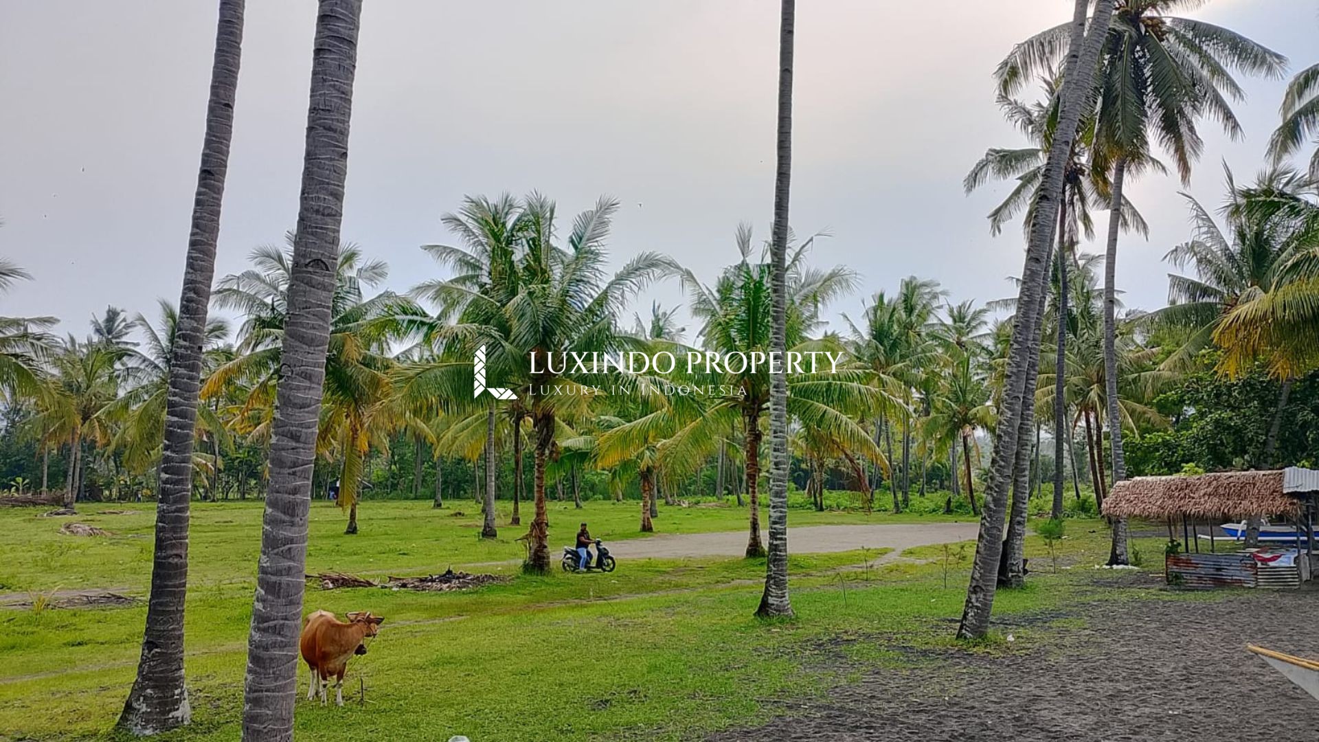 SOKONG - PRIME BEACHFRONT LAND FOR SALE (FHL540)